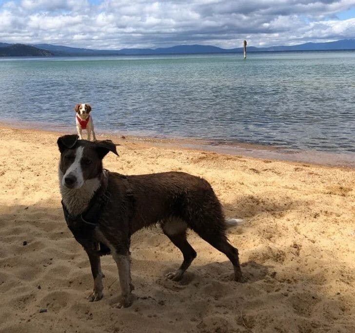 opticalillusions6_011