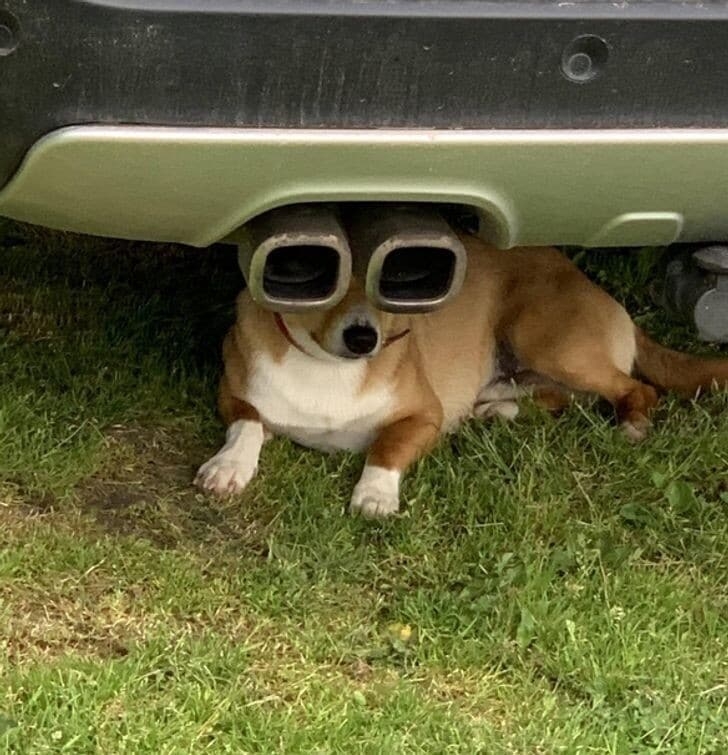 opticalillusions6_019