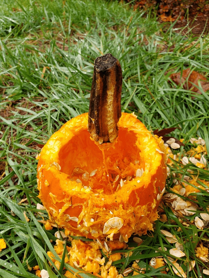 opticalillusions6_022