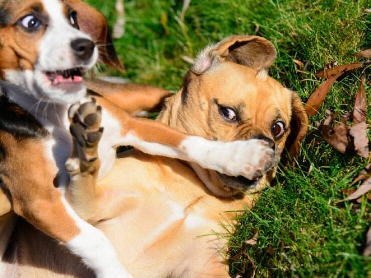 randompics869_073