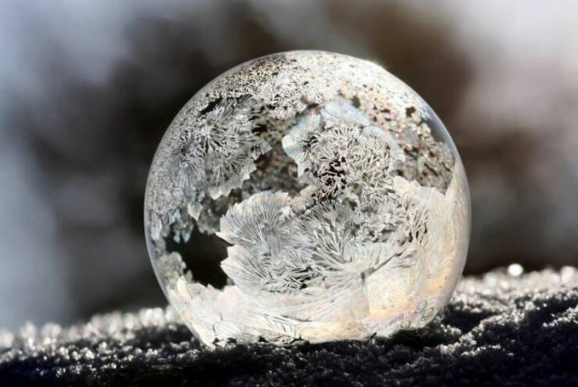 randompics870_064