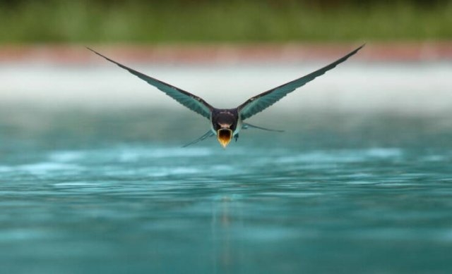 randompics870_067