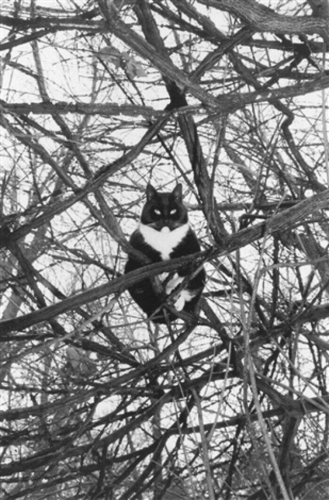 randompics874_062