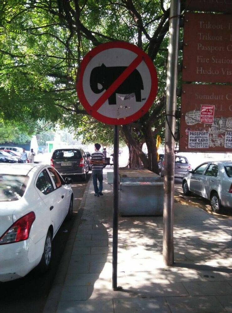 randompics890_073