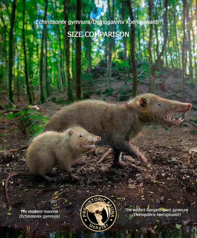 relativesoftheextinct_005