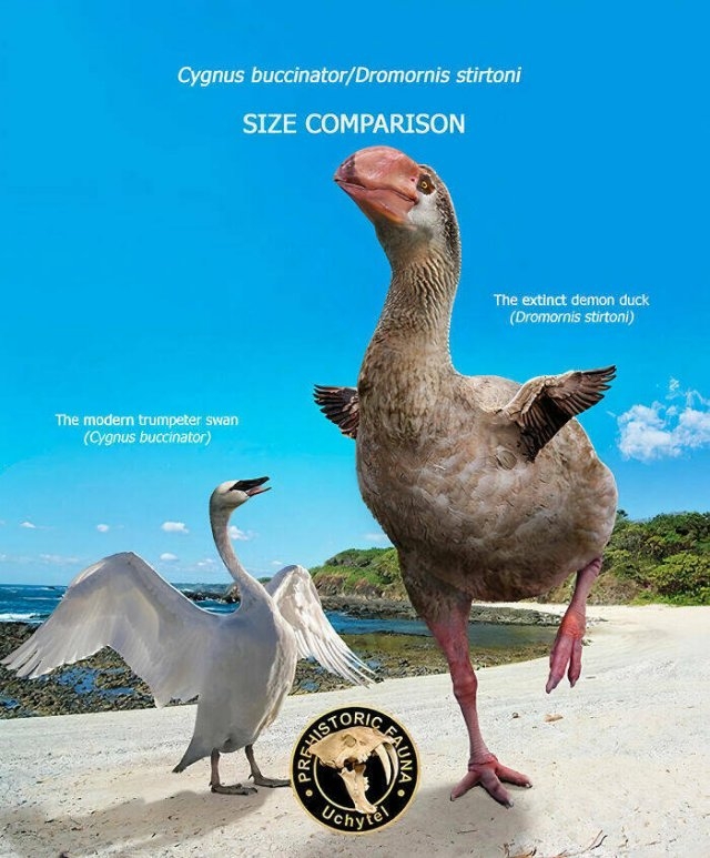 relativesoftheextinct_008