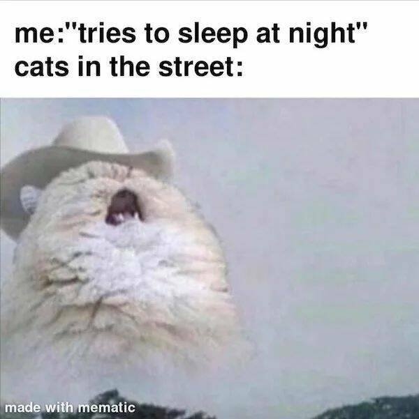 sleepmemes_001
