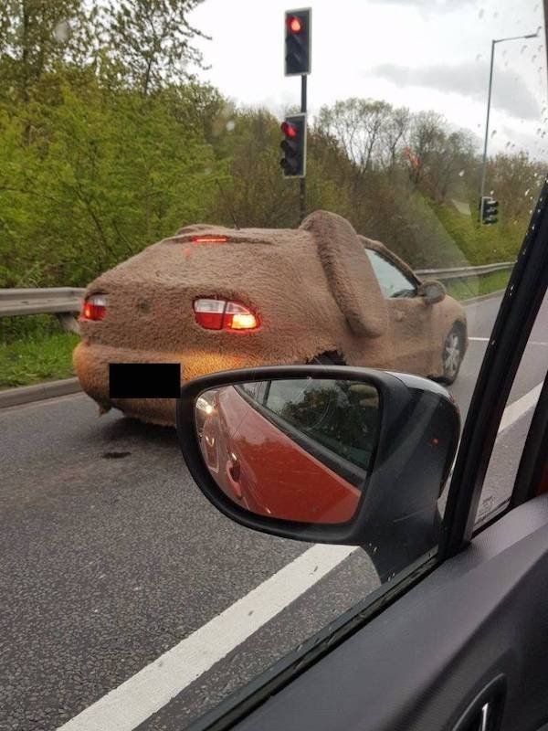 strangecars51_044