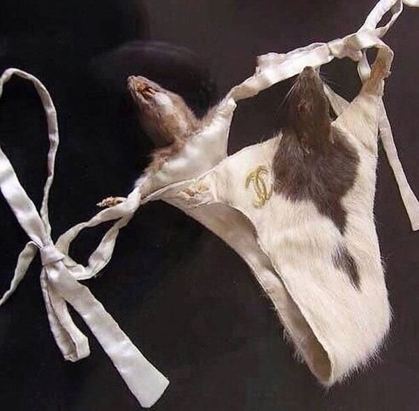 strangedesigns23_025