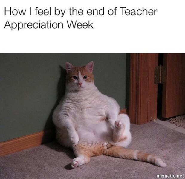 teachermemes6_007