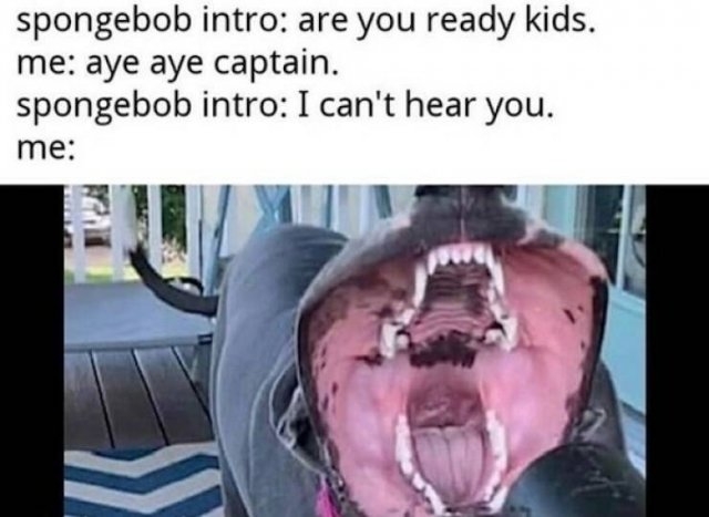 truememes27_008