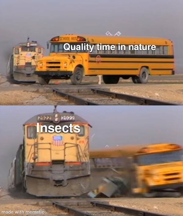 truememes27_013