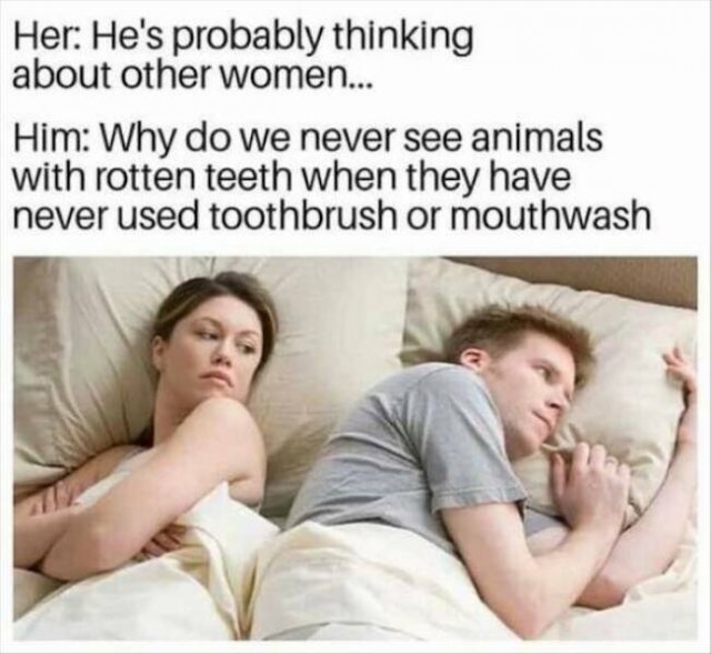 truememes27_014