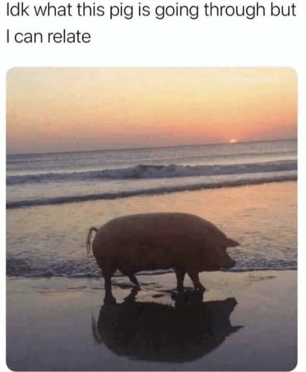 truememes27_027