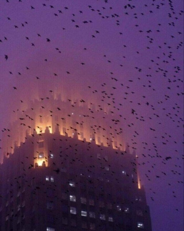 unusualarchitecture17_040