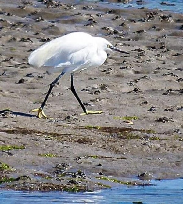 birds2_005
