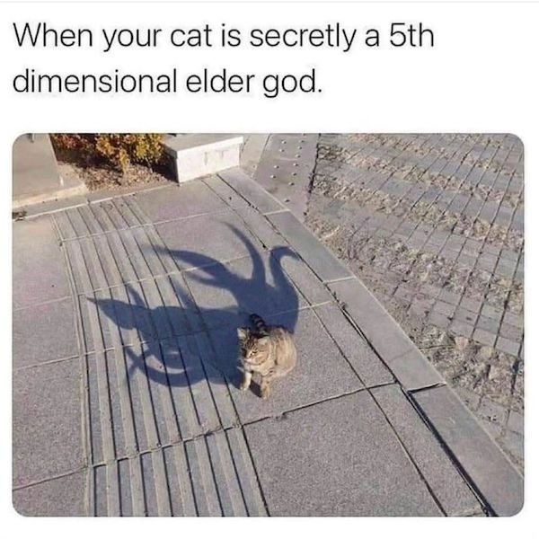 catmemes3_012