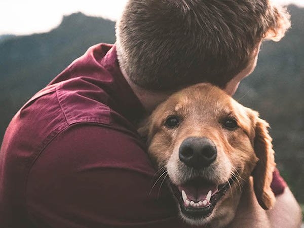 dogs25_014