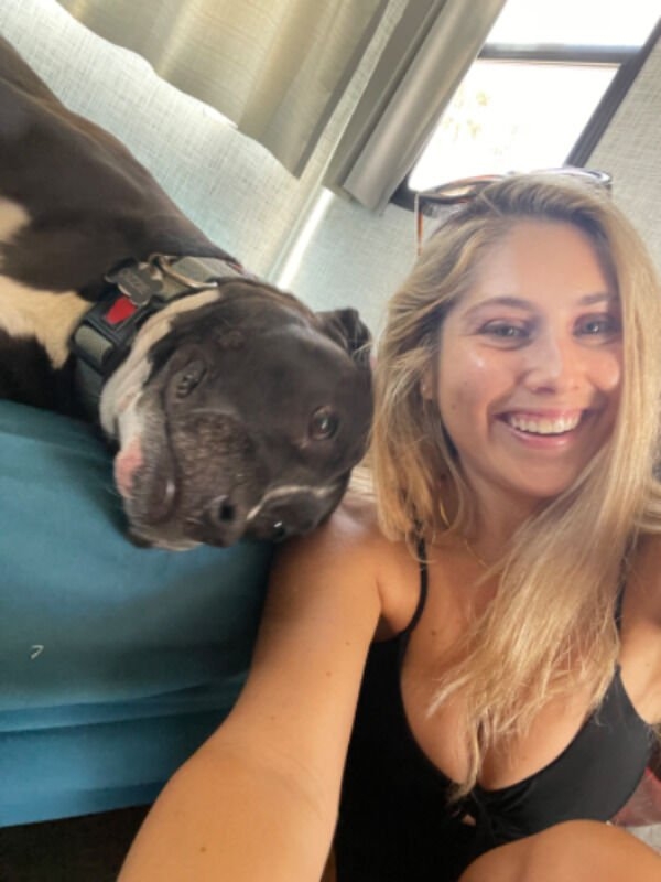 dogs25_032