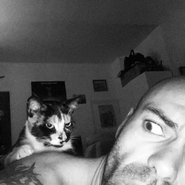 funnycats33_015