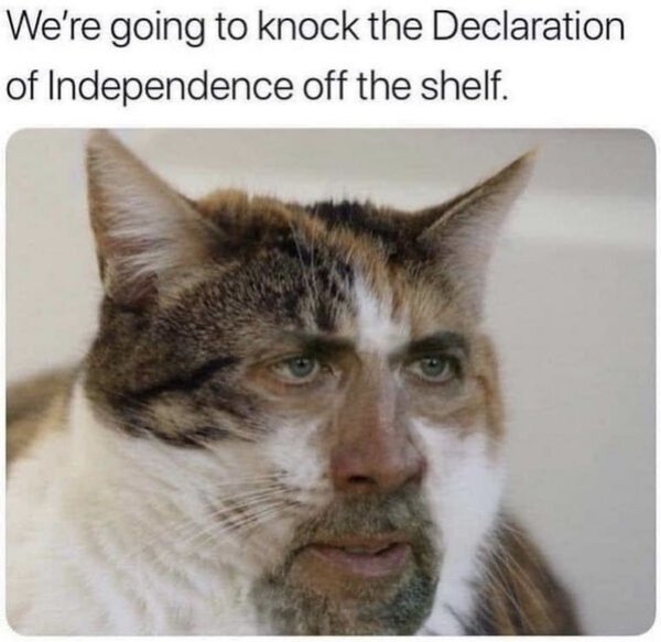 funnycats33_030