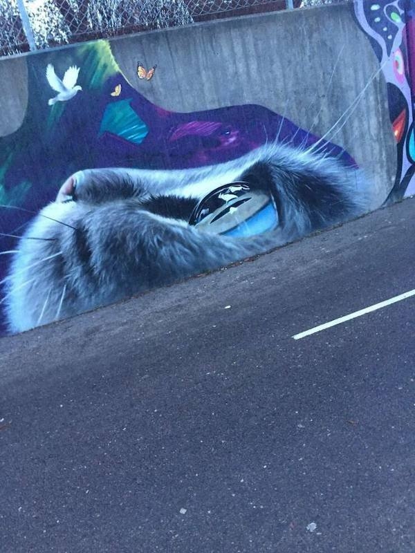 graffitistreetart12_020