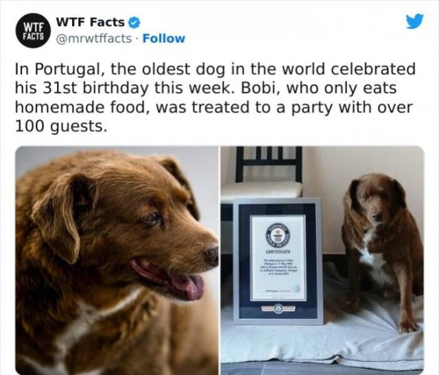 interestingfacts61_001