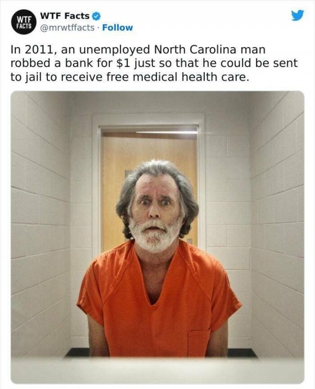 interestingfacts61_002