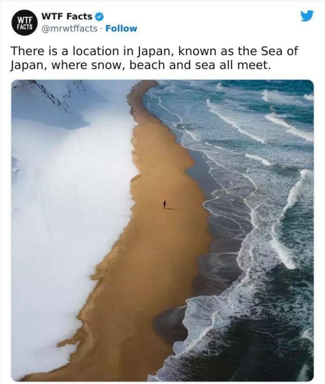 interestingfacts61_003