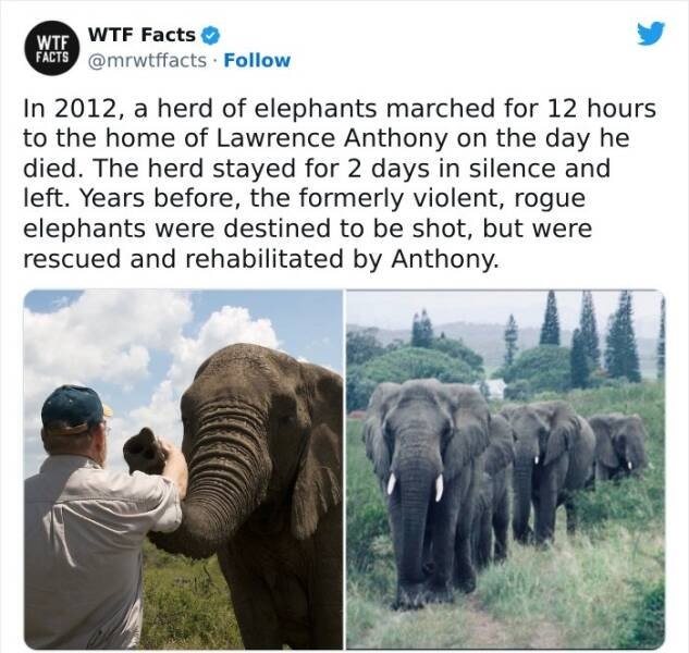 interestingfacts61_005