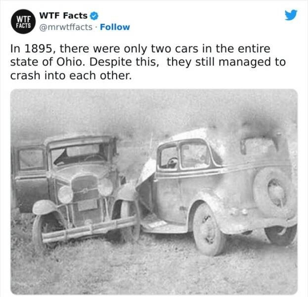 interestingfacts61_010