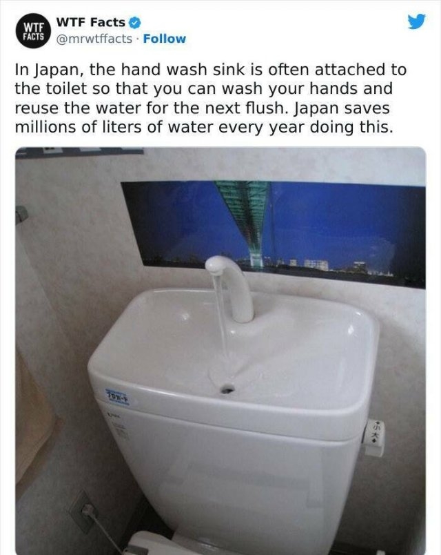 interestingfacts61_011