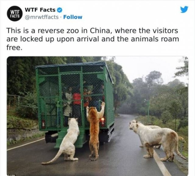 interestingfacts61_012