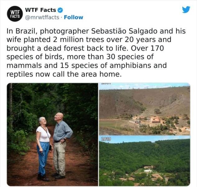 interestingfacts61_017