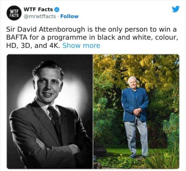 interestingfacts61_021