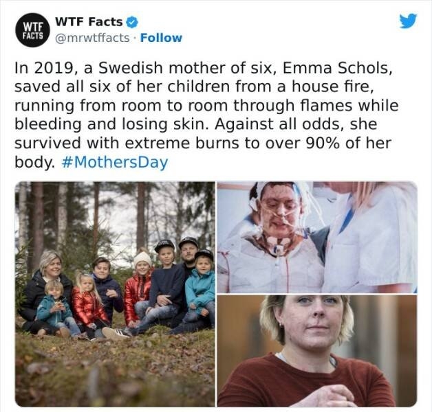 interestingfacts61_023