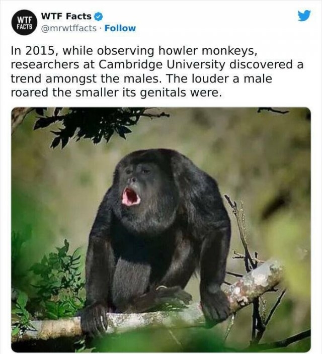 interestingfacts61_024