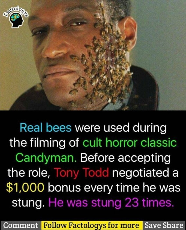 interestingfacts63_005