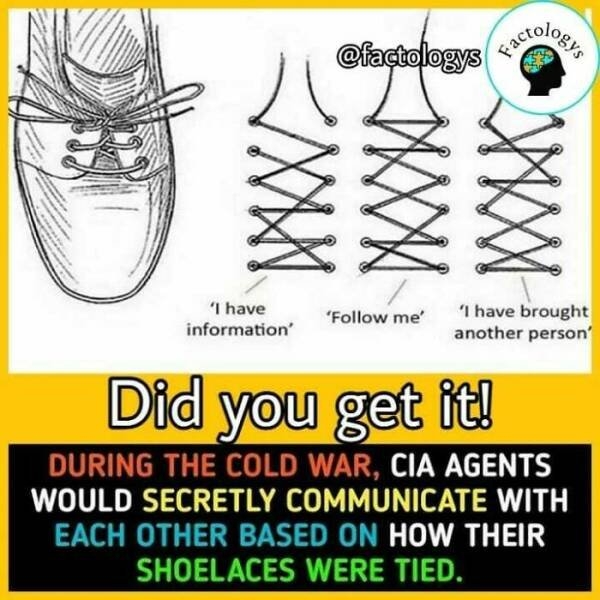 interestingfacts63_010