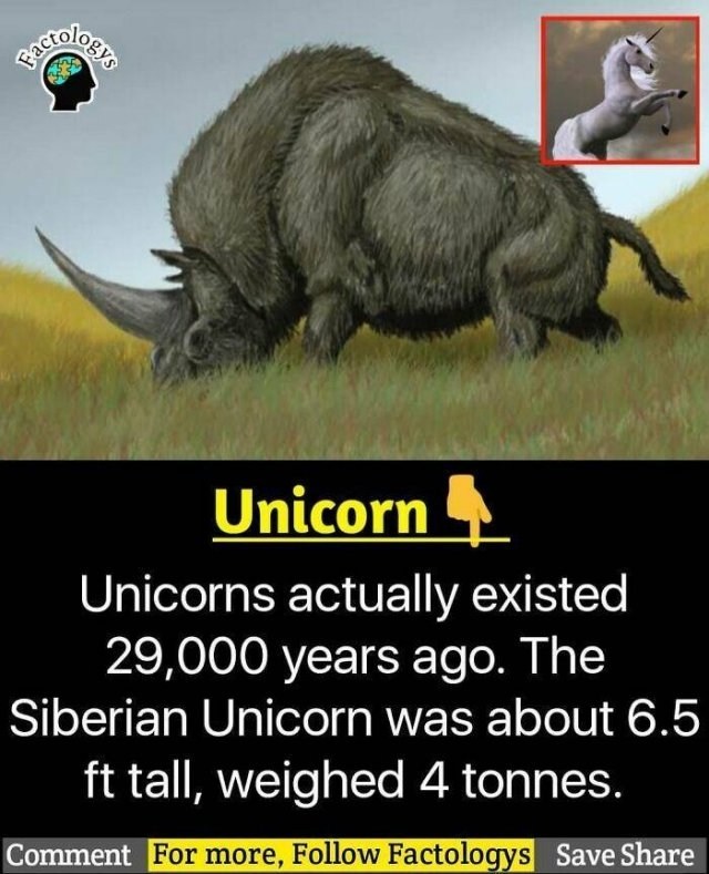 interestingfacts63_017