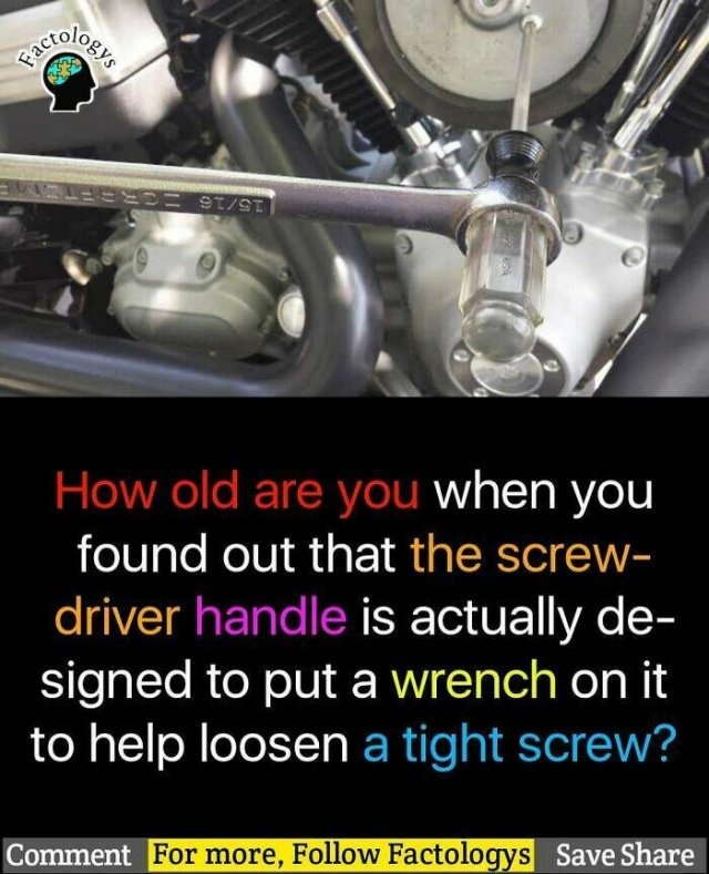 interestingfacts63_018