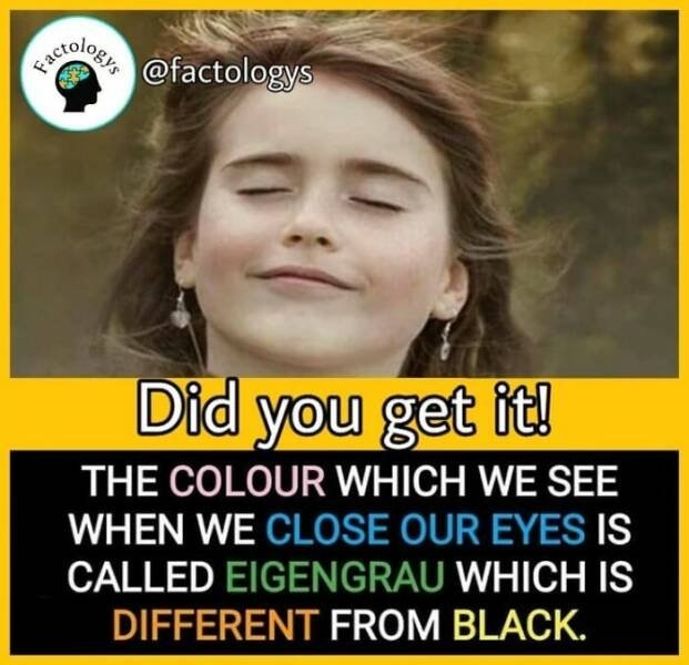 interestingfacts63_020