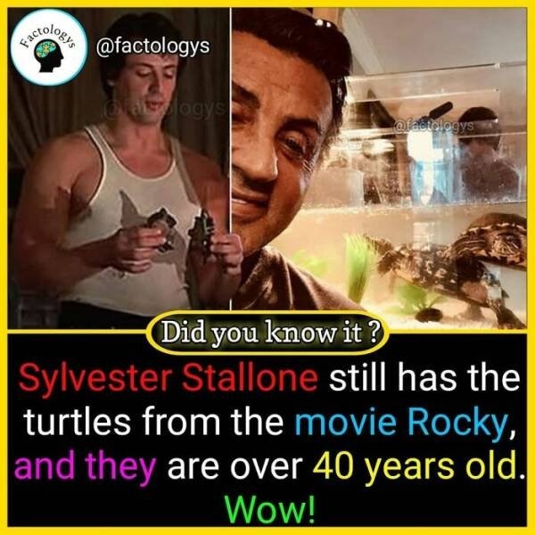 interestingfacts63_022