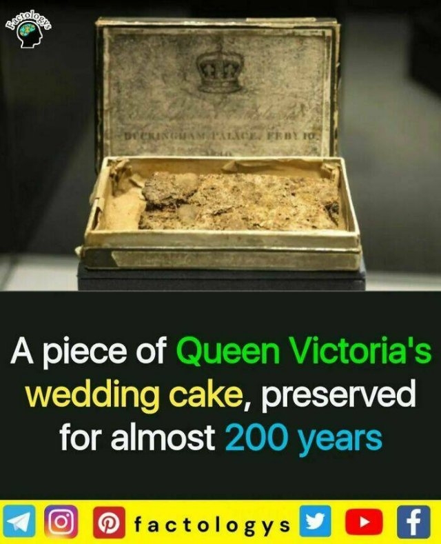 interestingfacts63_024