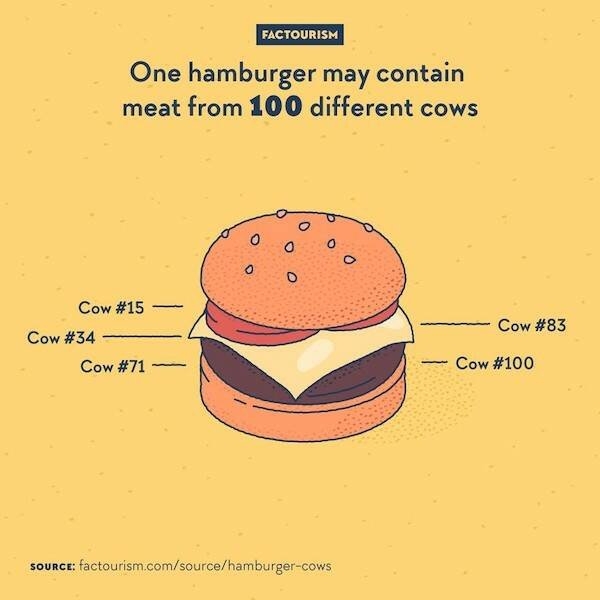 interestingfacts64_005