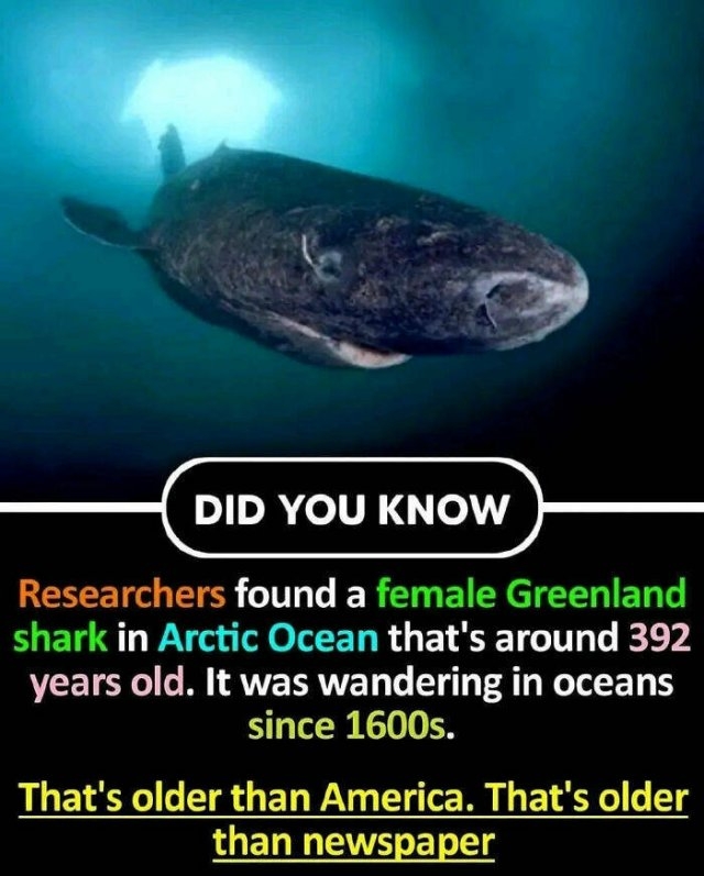 interestingfacts65_002