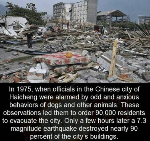 interestingfacts65_005