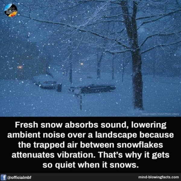 interestingfacts65_014