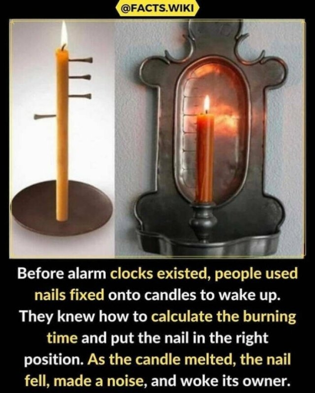 interestingfacts65_022