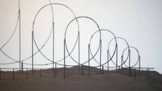 interestingfacts65_025